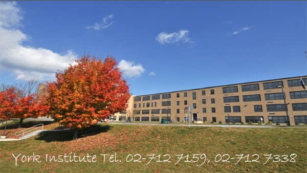 UTP High Schools Saint Thomas Aquinas2